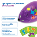 MS0095 Мышиный код с карточками (2 робота) MS0095