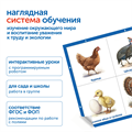 MS0105 Модуль "Наше сельское хозяйство. Домашние животные и птицы" MS0105