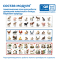 MS0105 Модуль "Наше сельское хозяйство. Домашние животные и птицы" MS0105