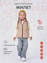 Жилет двусторонний Rant Dual Vest Brown-beige 4670078655455