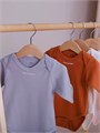 Боди Rant Hugs and kisses с коротким рукавом Arctic Grey 6272 4670078621450