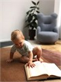 Боди Mowbaby Birds с коротким рукавом (3 шт.) blue арт. 6282 4670078640437
