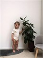 Боди Mowbaby Birds с коротким рукавом (3 шт.) milk арт. 6282 4670078640444