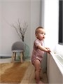 Боди Mowbaby Birds с коротким рукавом (3 шт.) rose арт. 6282 4670078640475