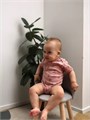 Боди Mowbaby Birds с коротким рукавом (3 шт.) rose арт. 6282 4670078640475