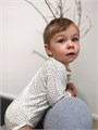 Боди Mowbaby Birds с длинным рукавом (3 шт.) milk арт. 6182 4670078640840
