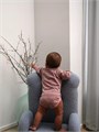 Боди Mowbaby Birds с длинным рукавом (3 шт.) rose арт. 6182 4670078640871