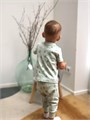 Штанишки Mowbaby Birds (3 шт.) blue арт. 3282 4670078641168
