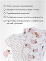 Боди-кимоно (3 шт.) с коротким рукавом Rant Basic Funny Rose арт. 6990 4670078651730