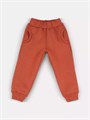 Костюм из футера с бомбером Rant Wild Tiger brown 167/3 4610477384228