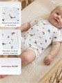 Песочник Rant Tiny на молнии 2193 Dinos 4610477385393