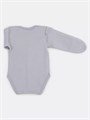 Боди Rant Hugs and kisses Print Dino grey 6774 4670078632340