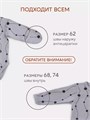 Боди 2 шт. Rant Hugs and kisses Pattern 64/67 Grey-green 4670078657763