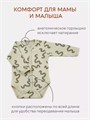 Боди 2 шт. Rant Hugs and kisses Pattern 64/67 Grey-green 4670078657763