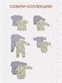 Боди 2 шт. Rant Hugs and kisses Pattern 64/67 Grey-green 4670078657763