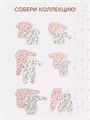 Боди 2 шт. Rant Hugs and kisses Pattern 64/67 Milk-pink 4670078657855
