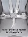 Стульчик для кормления Rant Basic Mango Pro Graphite 4670078657756