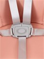 Стульчик для кормления Rant Basic Cookie Pink 4670078626134