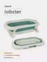 Ванна детская Rant Lobster со сливом складная White-green 4670078627308