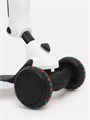 Самокат 3-колесный Rant Rider Plus white 4670078610065