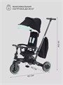Велосипед 3-колесный Mowbaby Trixie Black-green 4670078656858