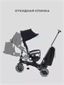 Велосипед 3-колесный Mowbaby Trixie Black-green 4670078656858