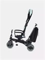 Велосипед 3-колесный Mowbaby Trixie Black-green 4670078656858