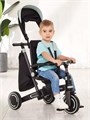 Велосипед 3-колесный Mowbaby Trixie Black-green 4670078656858