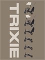 Велосипед 3-колесный Mowbaby Trixie Beige 4670078656865
