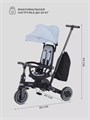 Велосипед 3-колесный Mowbaby Trixie Grey 4670078656834