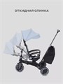 Велосипед 3-колесный Mowbaby Trixie Grey 4670078656834
