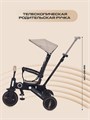 Велосипед 3-колесный Rant Birdie Beige 4670078656094