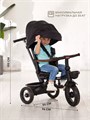 Велосипед 3-колесный Mowbaby Rodeo Black 4670078656421