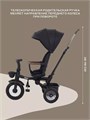 Велосипед 3-колесный Mowbaby Rodeo Black 4670078656421