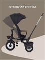 Велосипед 3-колесный Mowbaby Rodeo Black 4670078656421