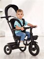 Велосипед 3-колесный Mowbaby Rodeo Black 4670078656421