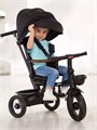 Велосипед 3-колесный Mowbaby Rodeo Black 4670078656421