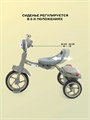 Велосипед 3-колесный Mowbaby Roadie Green 4670078657404