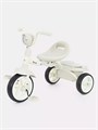 Велосипед 3-колесный Mowbaby Roadie Grey 4670078657411