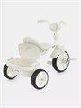 Велосипед 3-колесный Mowbaby Roadie Grey 4670078657411