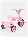 Велосипед 3-колесный Mowbaby Roadie Pink 4640575300363