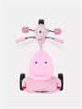 Велосипед 3-колесный Mowbaby Roadie Pink 4640575300363