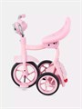 Велосипед 3-колесный Mowbaby Roadie Pink 4640575300363