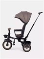 Велосипед 3-колесный Mowbaby Rodeo Mocca 4640575300370