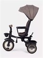 Велосипед 3-колесный Mowbaby Rodeo Mocca 4640575300370
