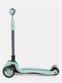 Самокат 3-колесный Mowbaby Oliver Green 4670078657268