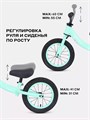 Беговел Rant Basic Faster X Mint 4670078656407