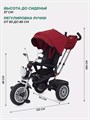 Велосипед трехколесный Mowbaby Eagle Red 4670078646545