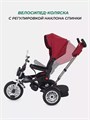 Велосипед трехколесный Mowbaby Eagle Red 4670078646545