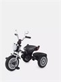 Велосипед трехколесный Mowbaby Eagle Red 4670078646545